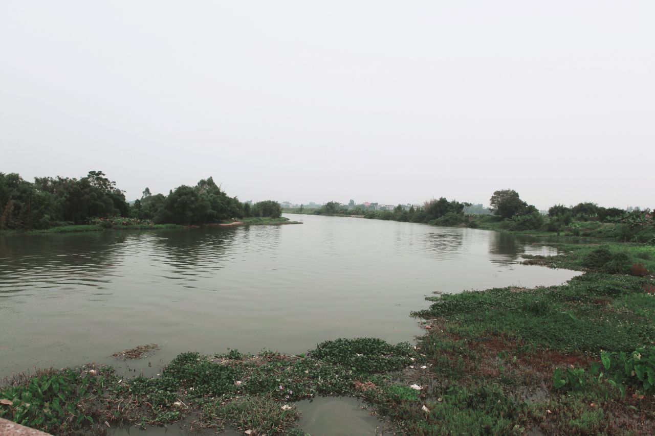 在乡村中走走更健康 交流度 田野