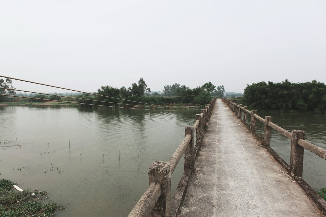 在乡村中走走更健康 交流度 田野