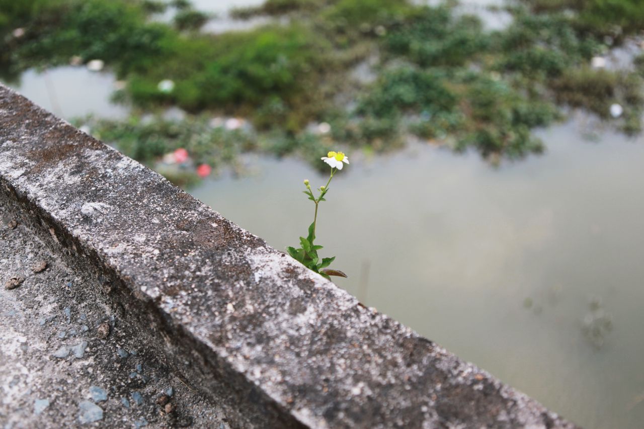 在乡村中走走更健康 交流度 田野