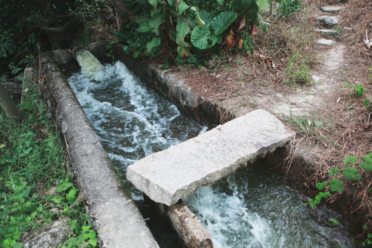 在乡村中走走更健康 交流度 田野