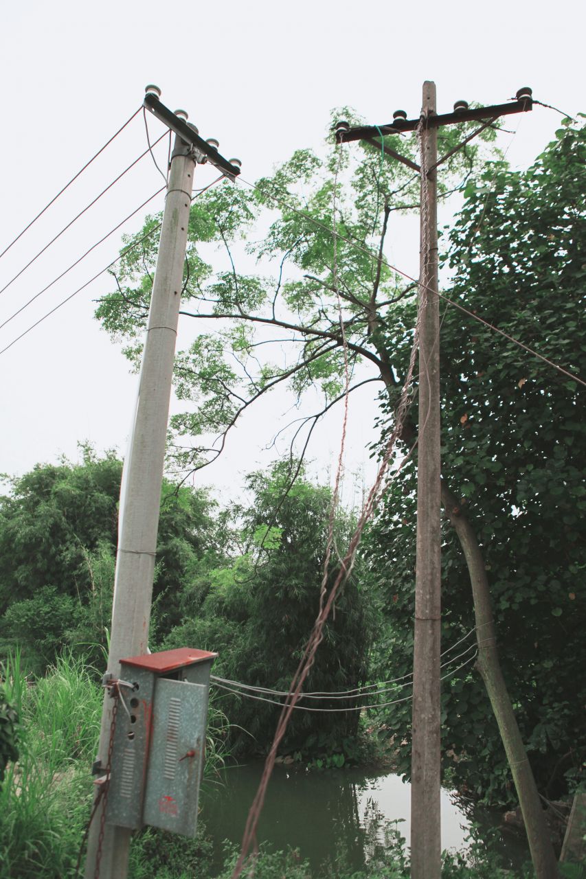 在乡村中走走更健康 交流度 田野