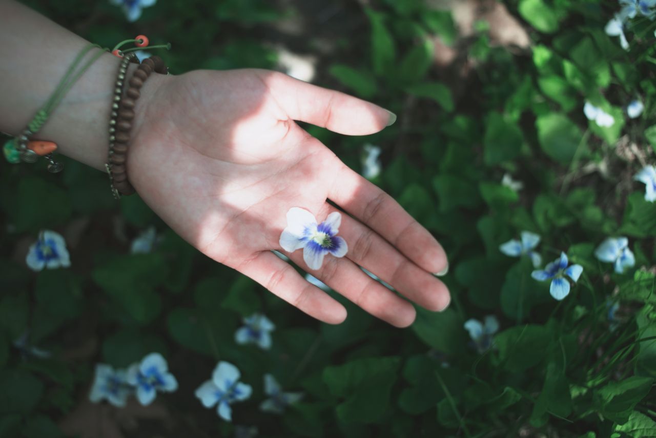 Vivitar 35mm F1.9 胶片镜头，人像篇 Vivitar 35mm F1.9 人像 小清新 毛豆 模特 胶片 薯仔仪