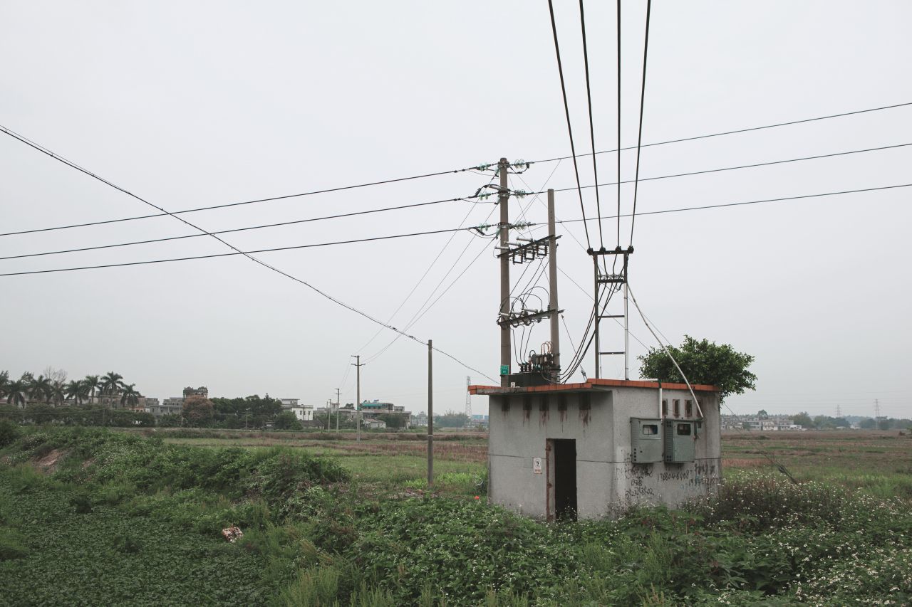 赤坎市场边闲拍 赤坎 市场 喇叭花 炮仗花 电站 电表