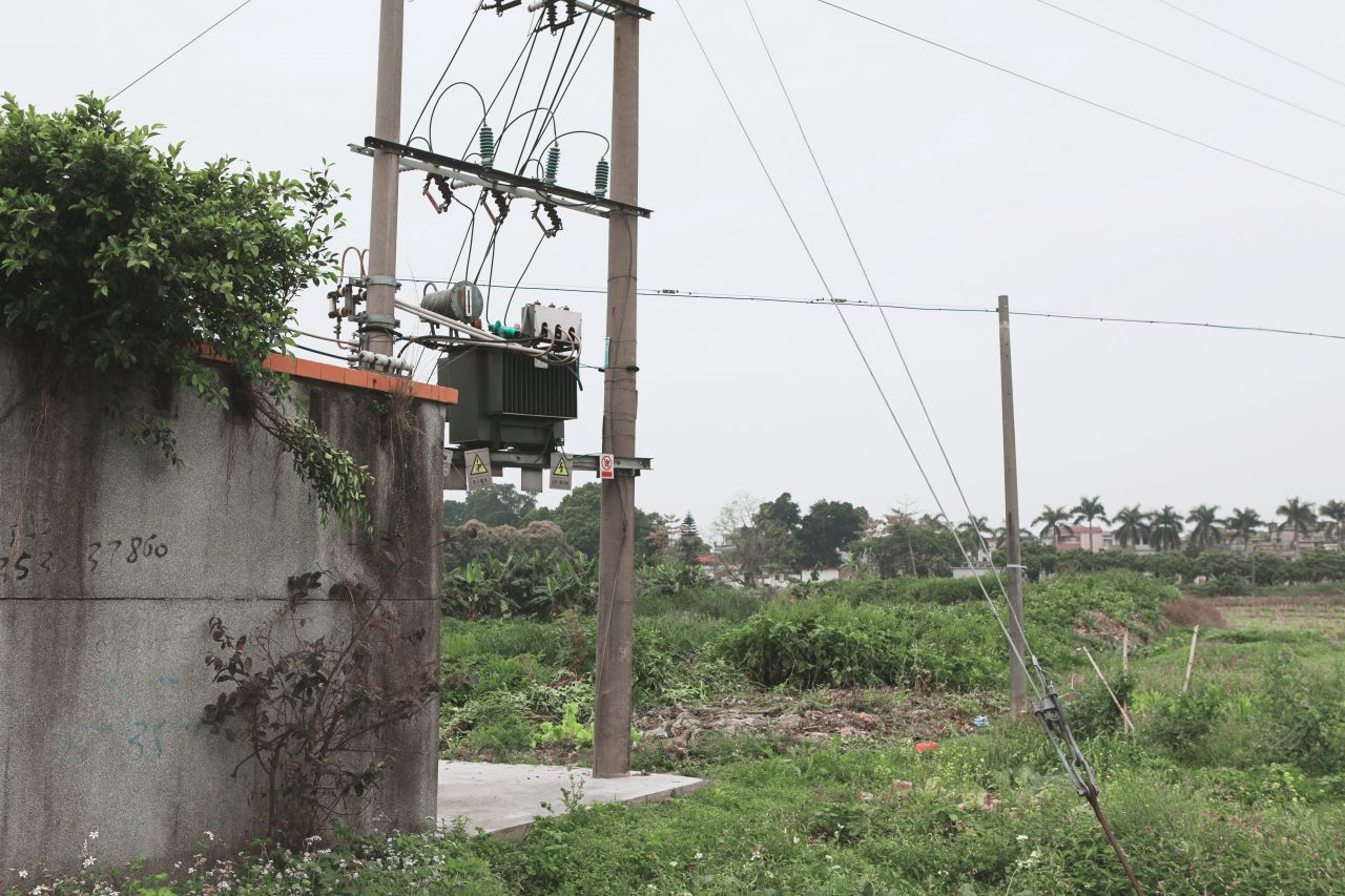 赤坎市场边闲拍 - 赤坎镇 - 无 - 赤坎 市场 喇叭花 炮仗花 电站 电表