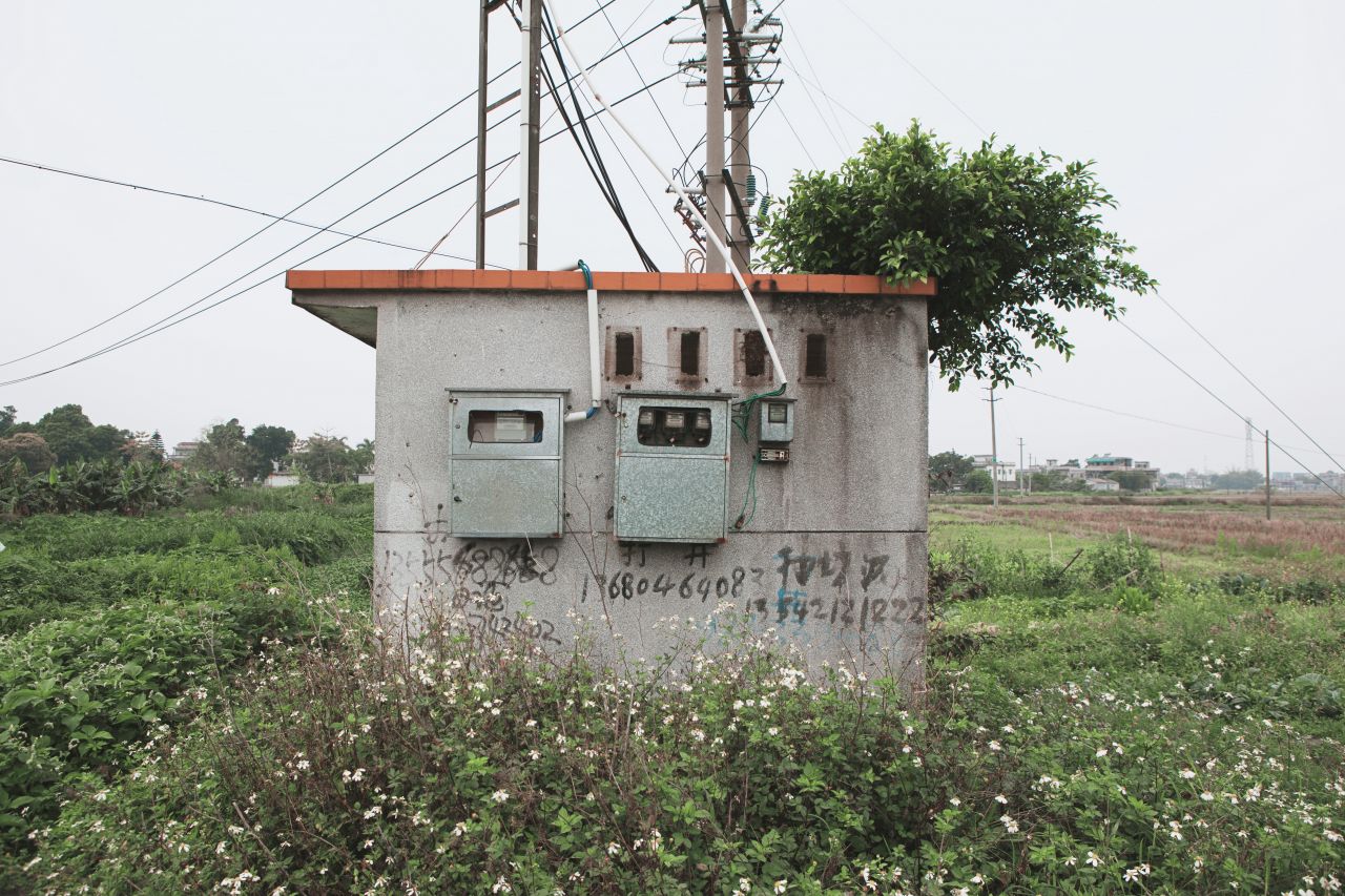 赤坎市场边闲拍 赤坎 市场 喇叭花 炮仗花 电站 电表