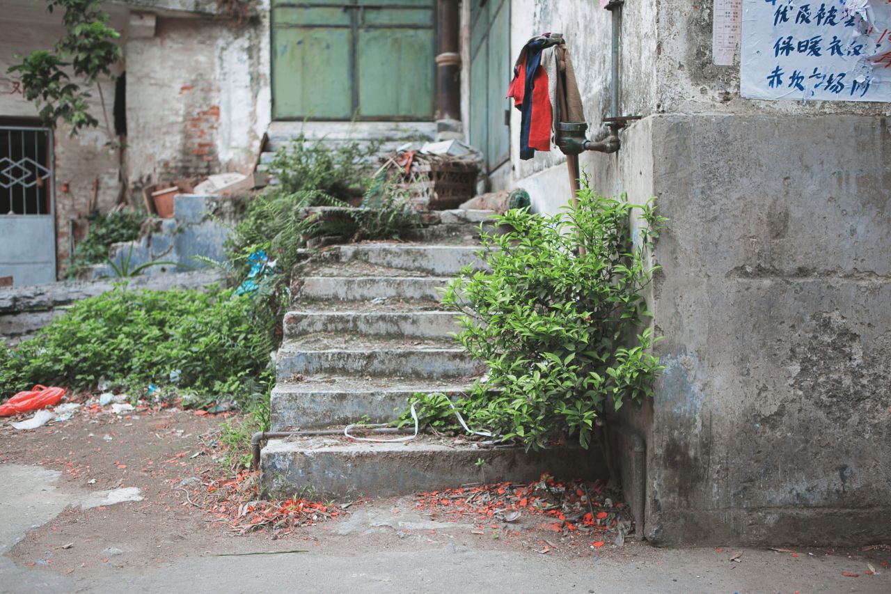 赤坎市场边闲拍 赤坎 市场 喇叭花 炮仗花 电站 电表