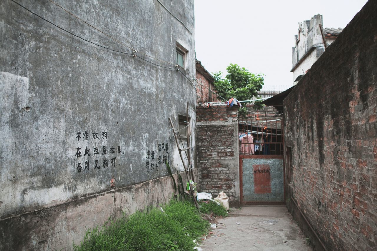 赤坎市场边闲拍 赤坎 市场 喇叭花 炮仗花 电站 电表