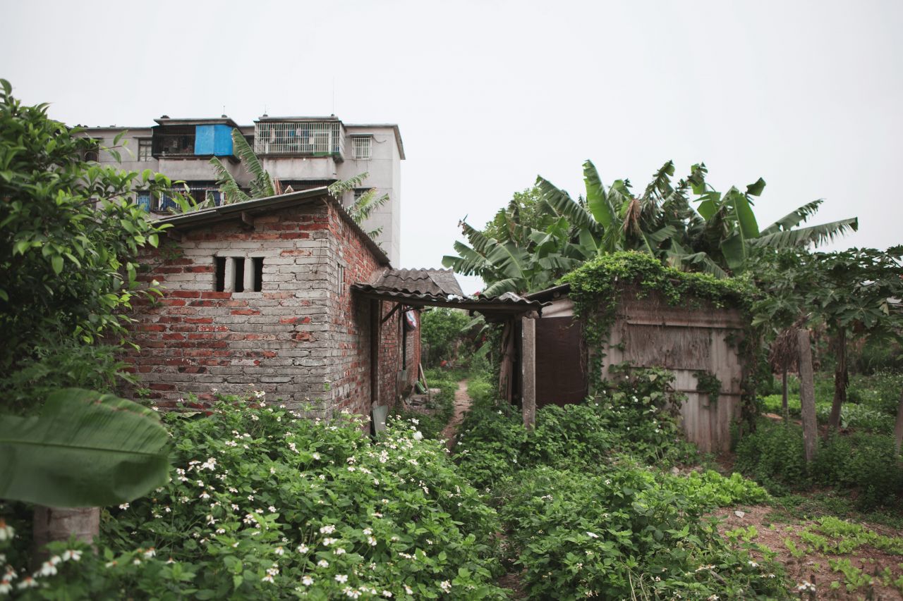 赤坎某一处地方 - 赤坎镇 - 无 - 赤坎镇 河南 乡村 影视城 赤坎古镇 古镇 欧陆风情街 骑楼