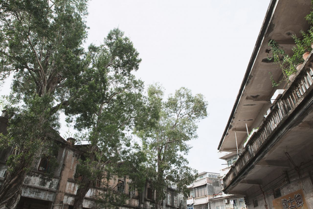 匆匆忙忙的扫街篇 赤坎 扫街 开平港