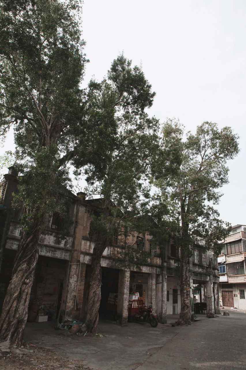 匆匆忙忙的扫街篇 赤坎 扫街 开平港