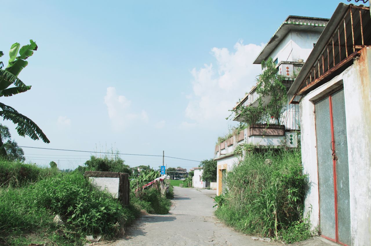 比以往更为晴朗的赤坎古镇 赤坎 尼康 D3200 楼顶 风光 风景 骑楼 开平 赤坎古镇 街景 街道