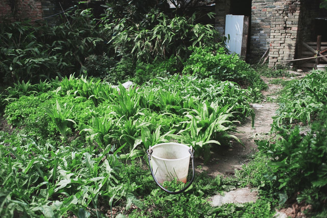 在遥远的乡村上 抽水机 船 乡村 农村 开平