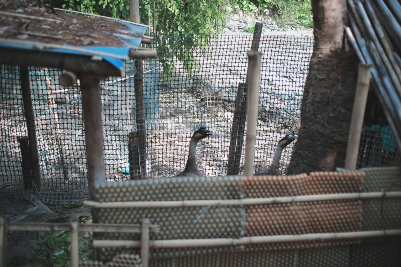 在遥远的乡村上 抽水机 船 乡村 农村 开平