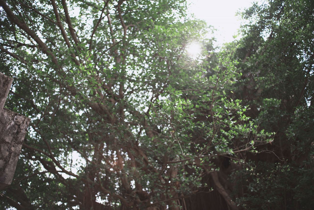 在遥远的乡村上 抽水机 船 乡村 农村 开平