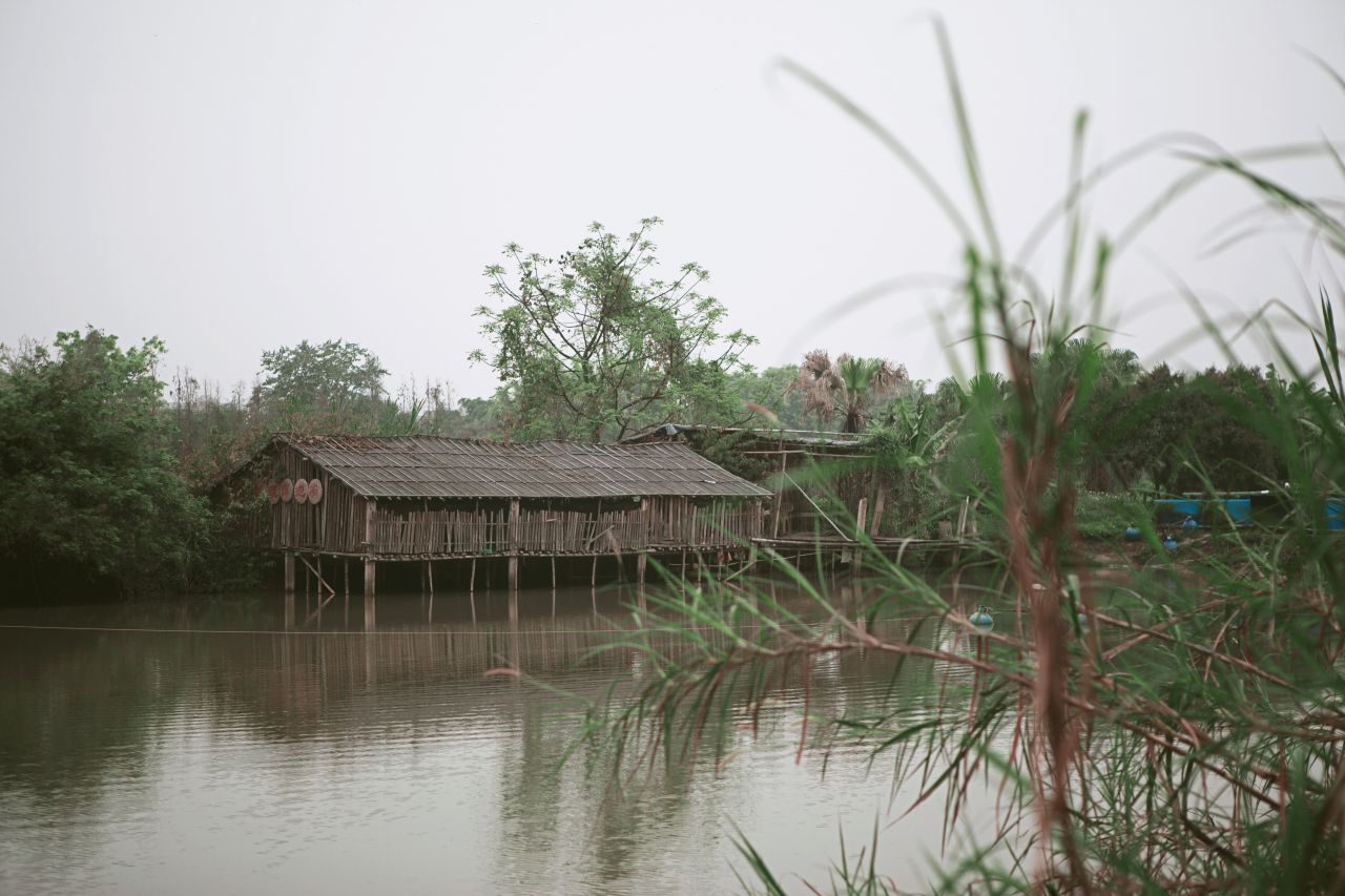 晚饭后的散步，自力村和立园 自立村 唐口 开平 碉楼 立园 散步