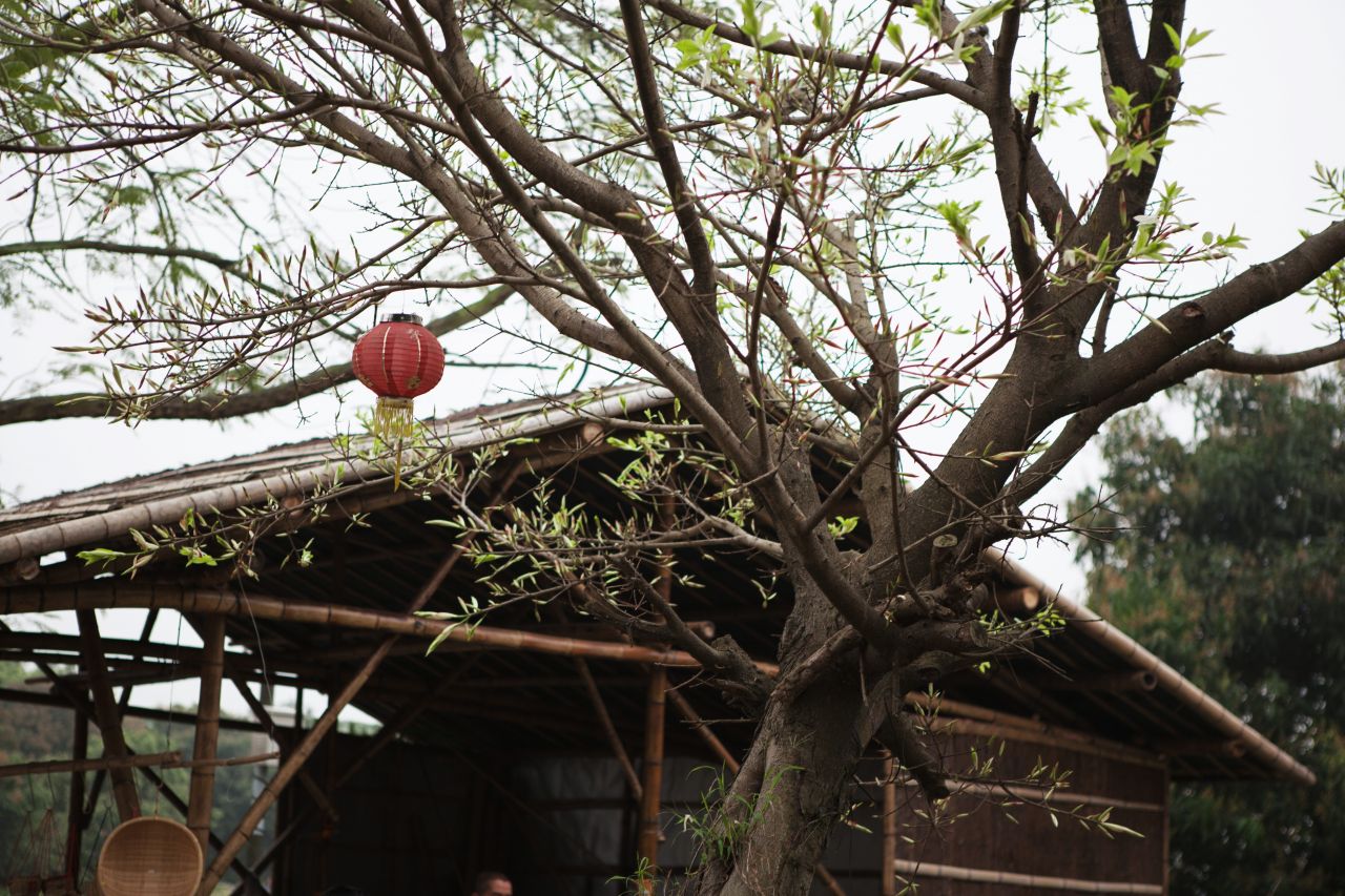 晚饭后的散步，自力村和立园 自立村 唐口 开平 碉楼 立园 散步