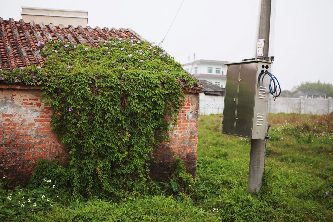 晚饭后的散步，自力村和立园 自立村 唐口 开平 碉楼 立园 散步
