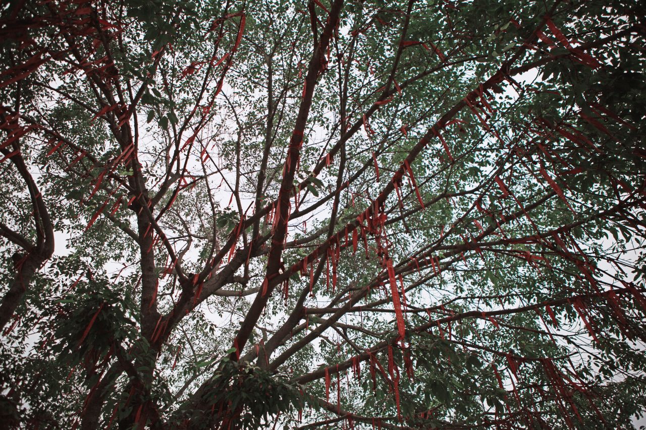 晚饭后的散步，自力村和立园 自立村 唐口 开平 碉楼 立园 散步