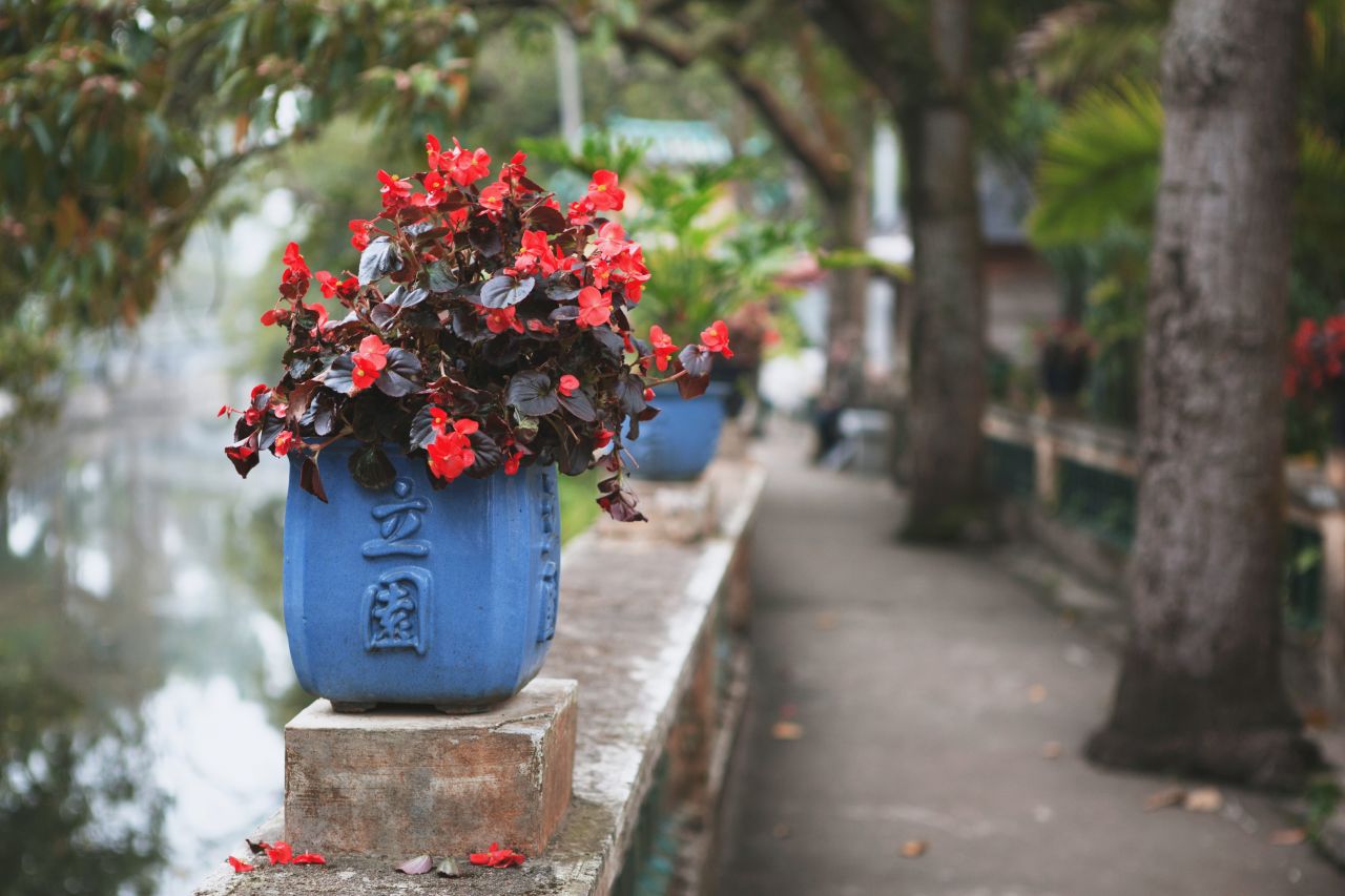 晚饭后的散步，自力村和立园 自立村 唐口 开平 碉楼 立园 散步