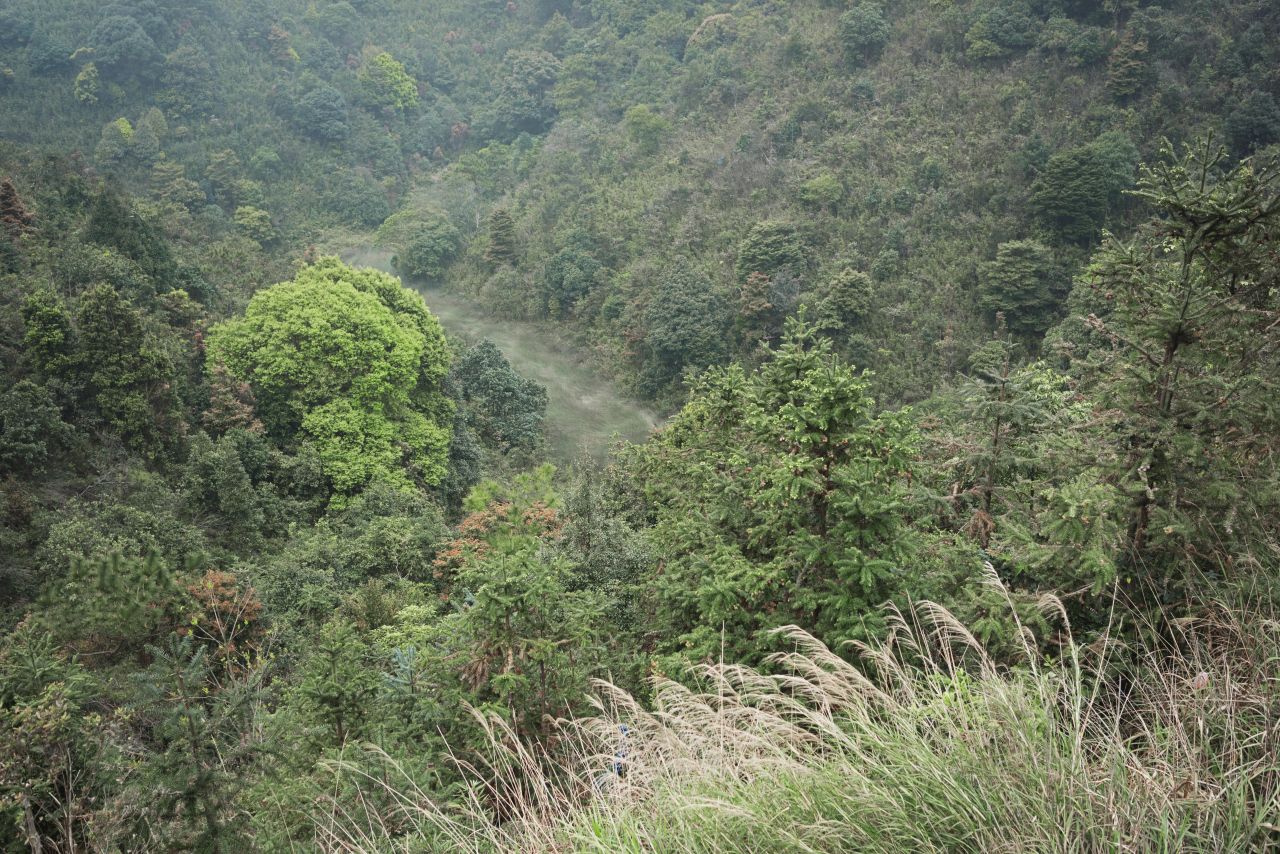 台山，北峰山和大隆洞水库一游。 台山 北峰山 大隆洞水库