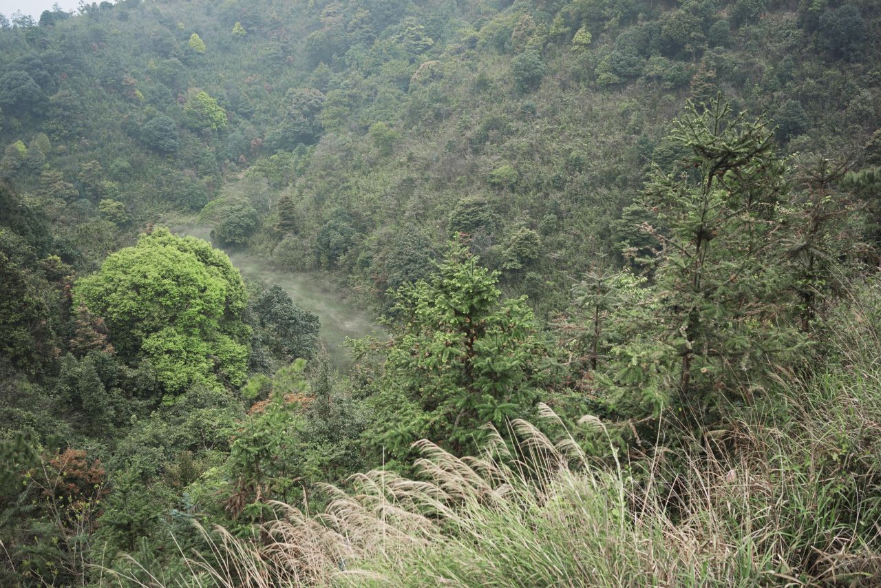 台山，北峰山和大隆洞水库一游。 台山 北峰山 大隆洞水库