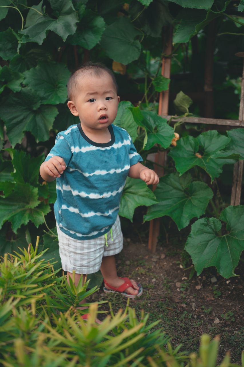 小外甥的田园风 小外甥的田园风