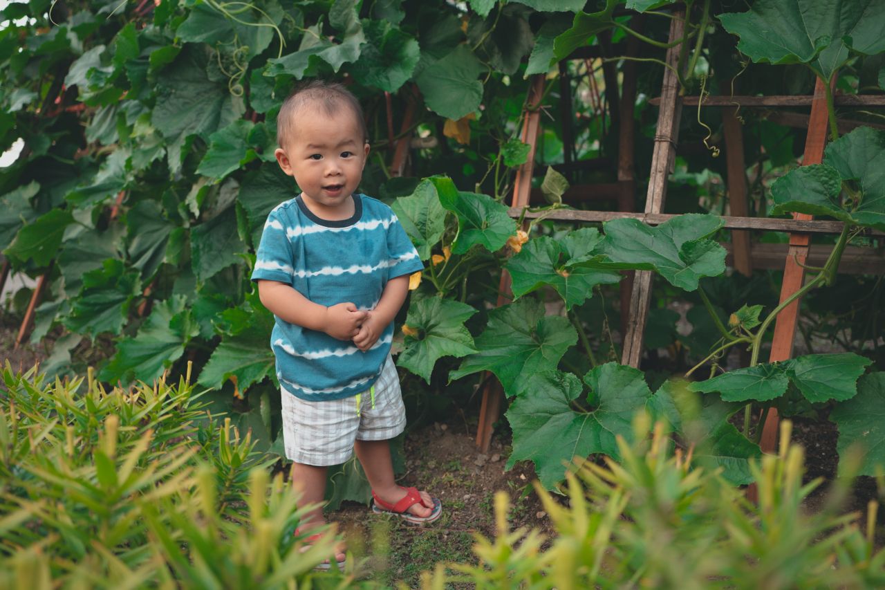 小外甥的田园风 小外甥的田园风