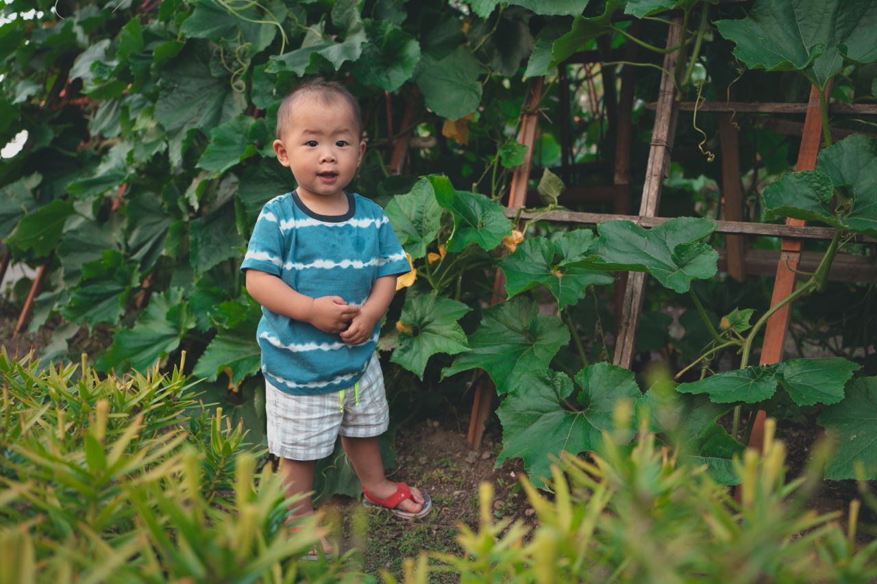 小外甥的田园风 小外甥的田园风
