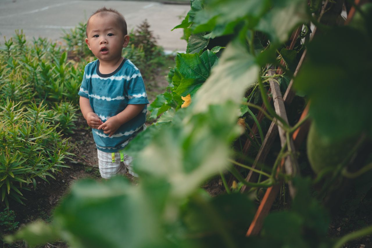 小外甥的田园风 小外甥的田园风