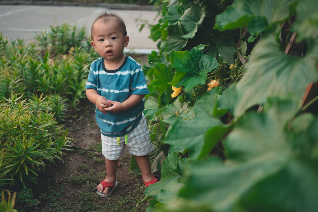 小外甥的田园风 小外甥的田园风
