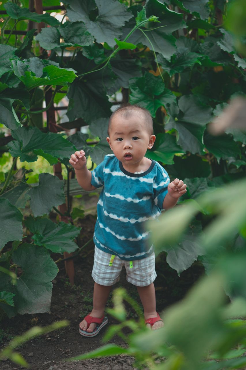 小外甥的田园风 小外甥的田园风
