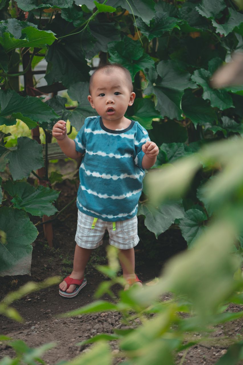 小外甥的田园风 小外甥的田园风