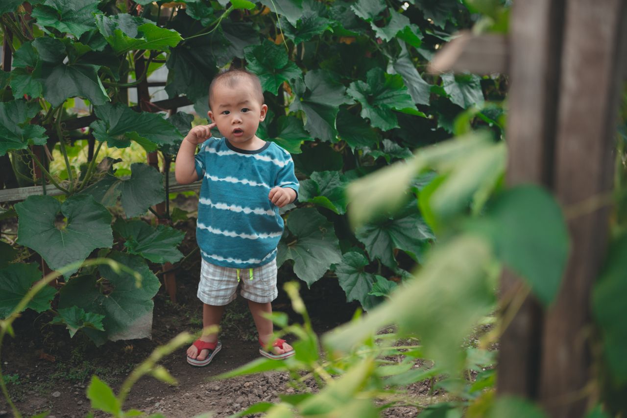 小外甥的田园风 小外甥的田园风