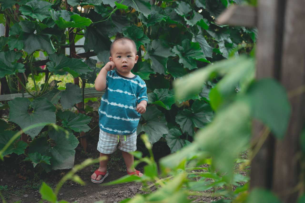 小外甥的田园风 小外甥的田园风