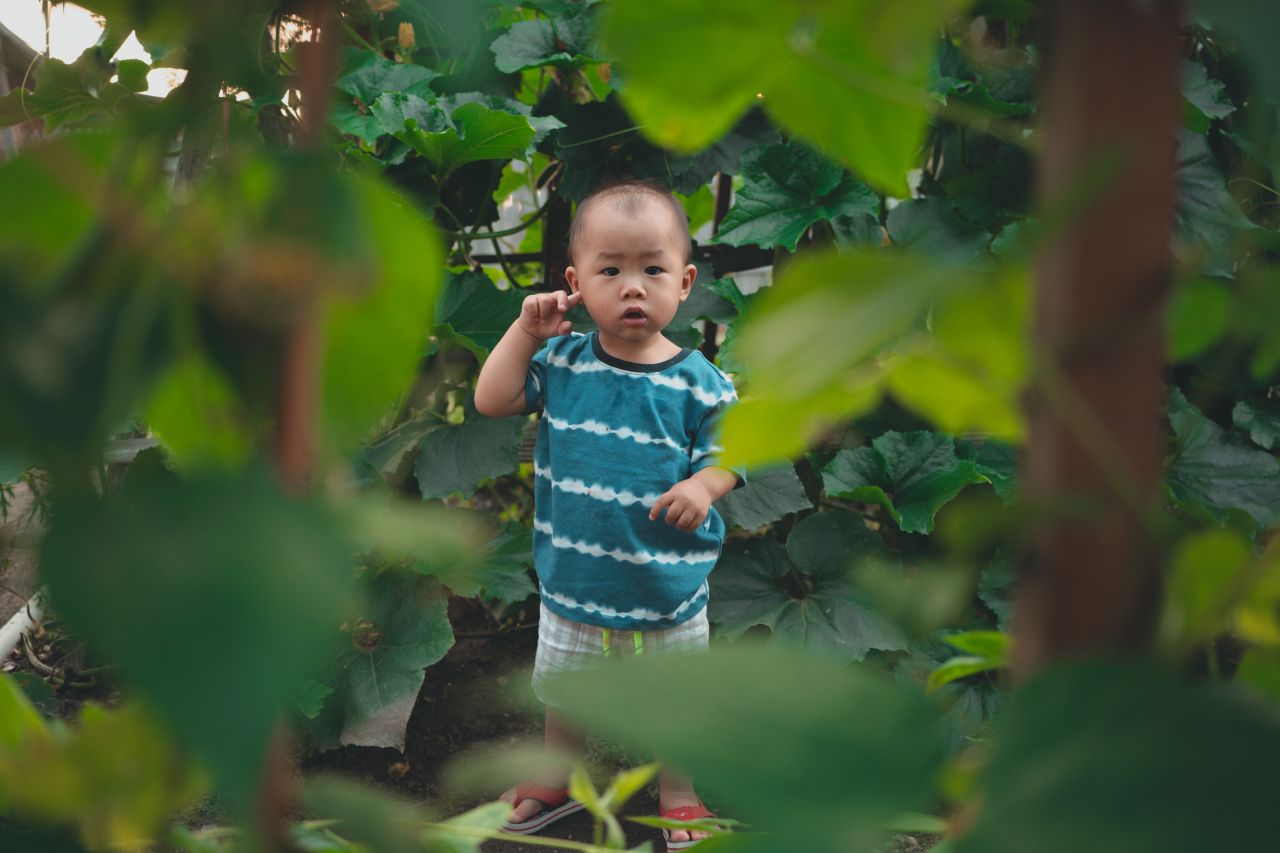 小外甥的田园风 小外甥的田园风