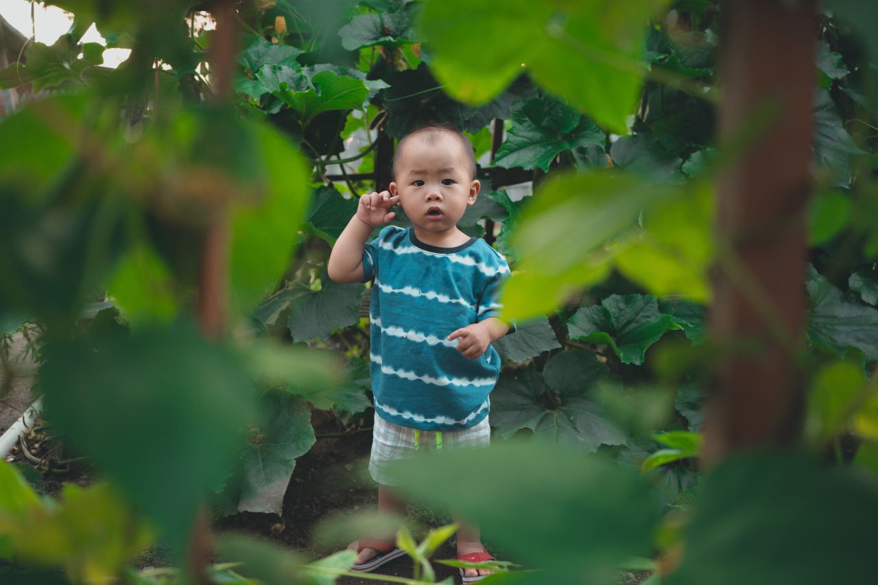 小外甥的田园风 小外甥的田园风