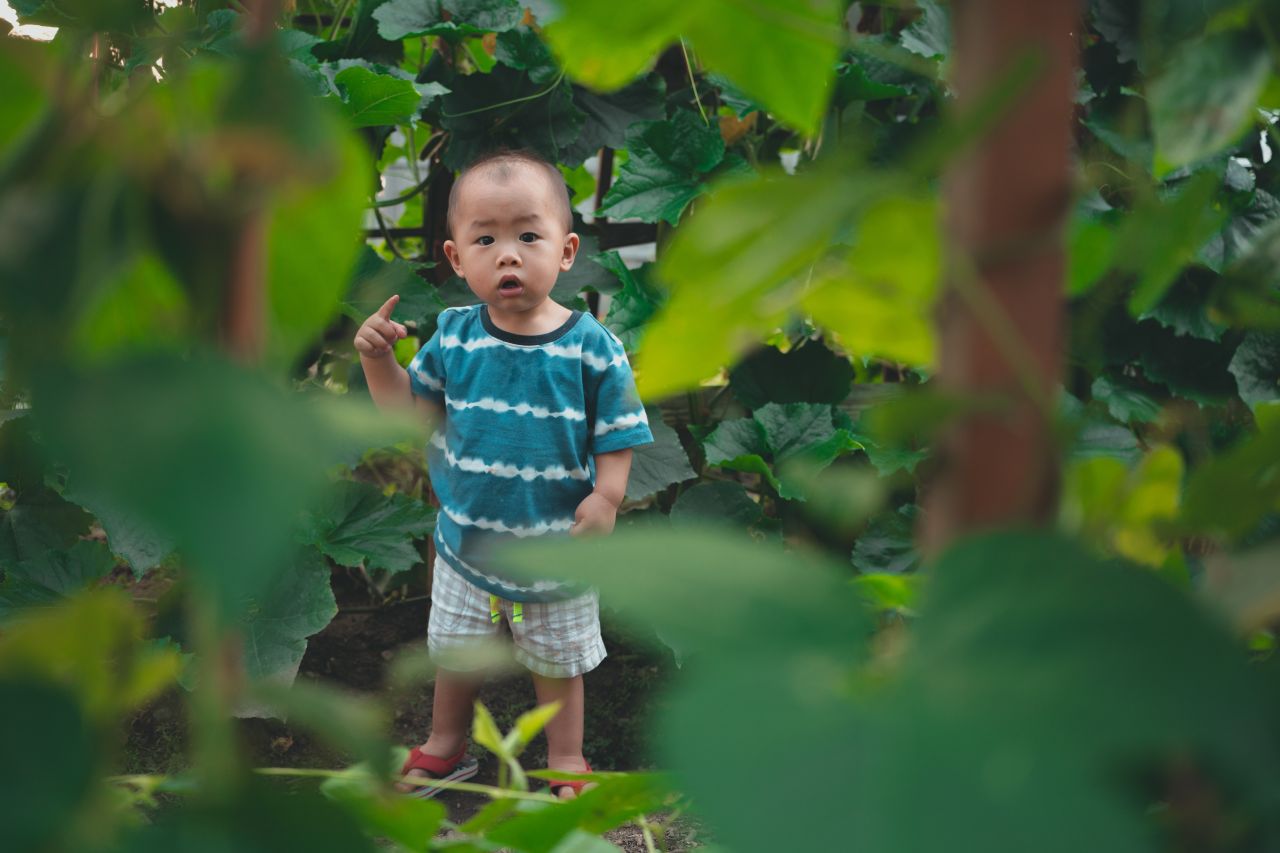 小外甥的田园风 小外甥的田园风