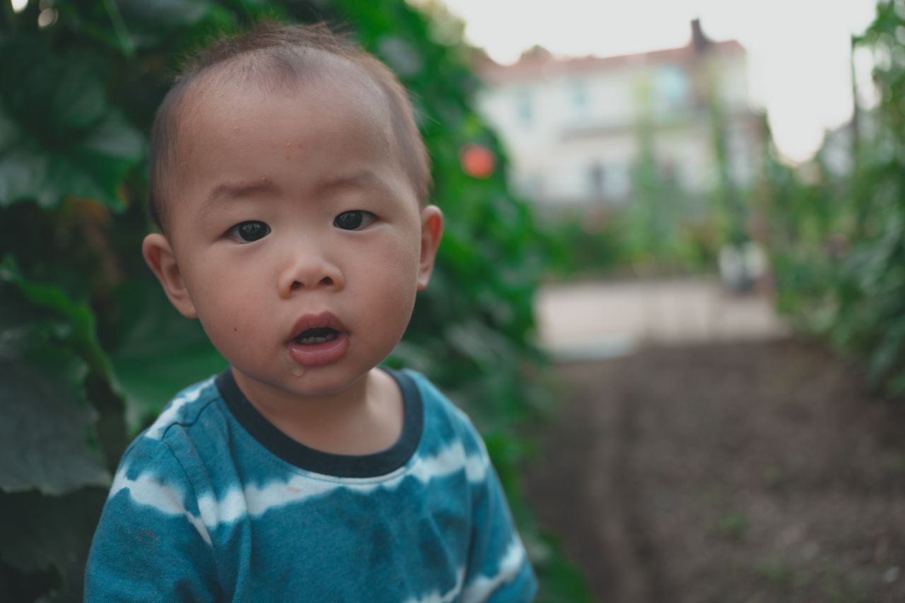 小外甥的田园风 小外甥的田园风