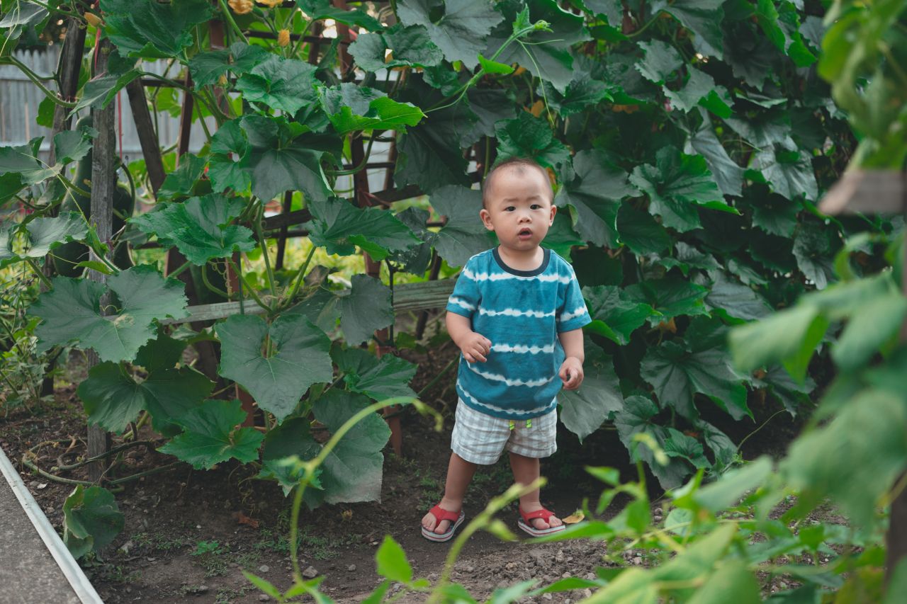 小外甥的田园风 小外甥的田园风