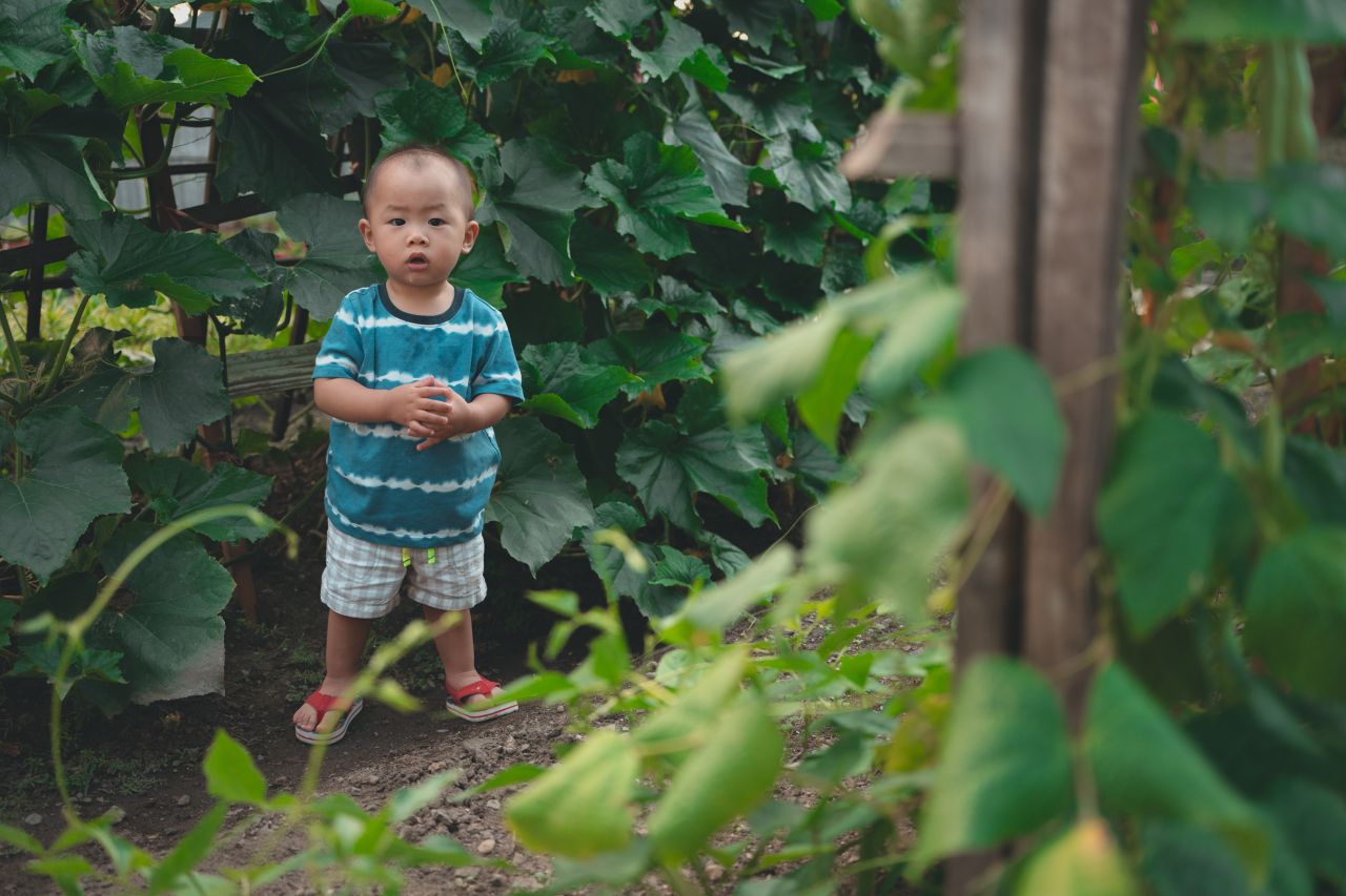 小外甥的田园风 小外甥的田园风