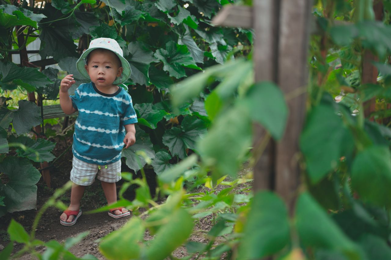 小外甥的田园风 - 后院 - 小外甥 - 小外甥的田园风