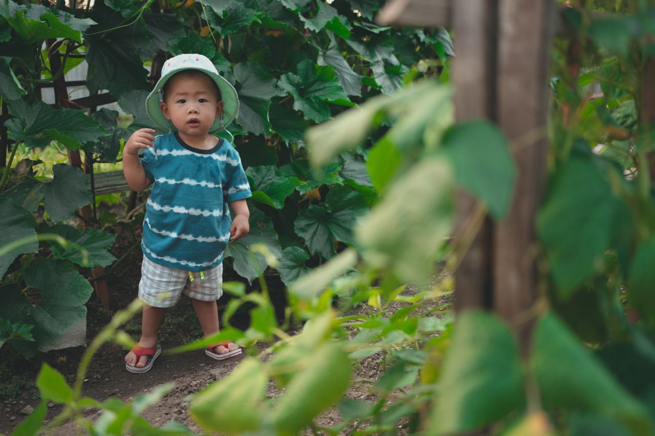 小外甥的田园风 小外甥的田园风