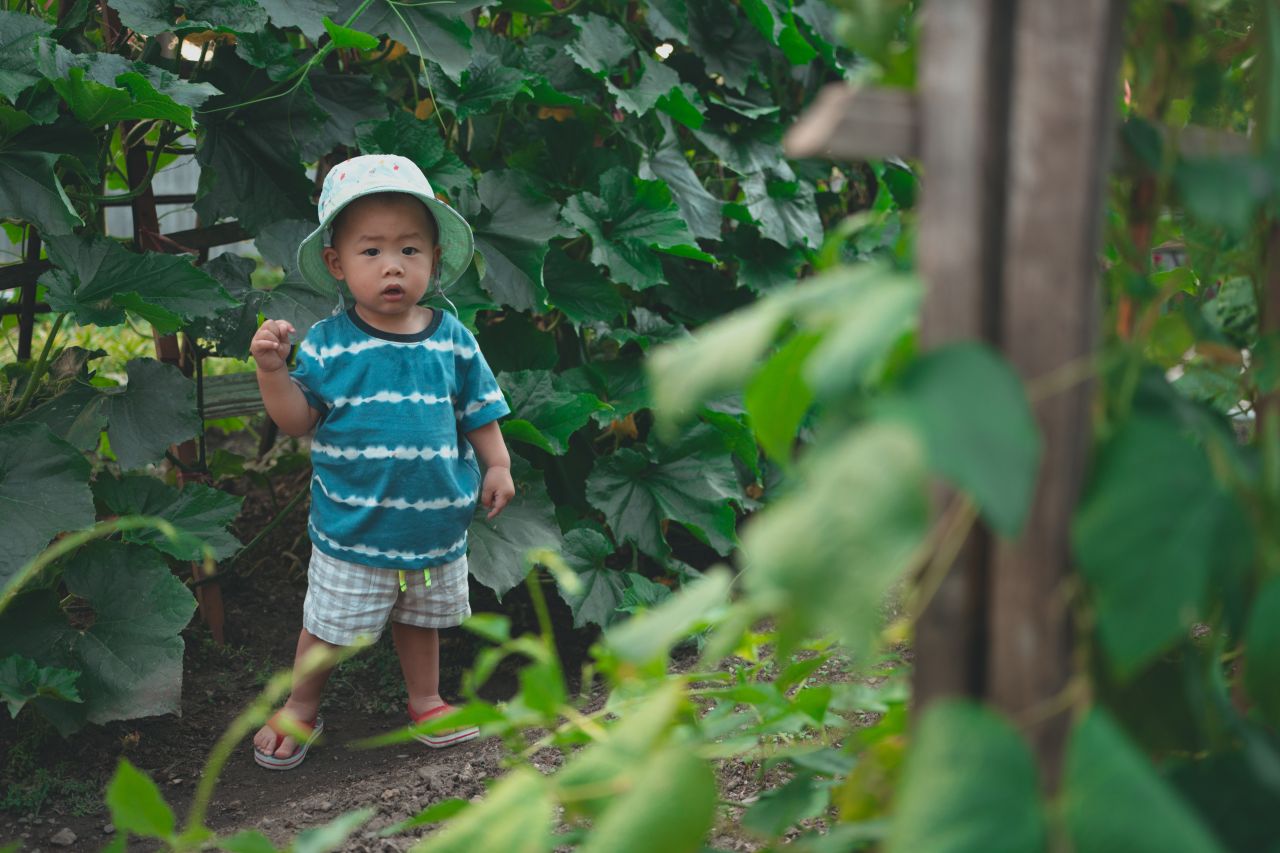 小外甥的田园风 小外甥的田园风