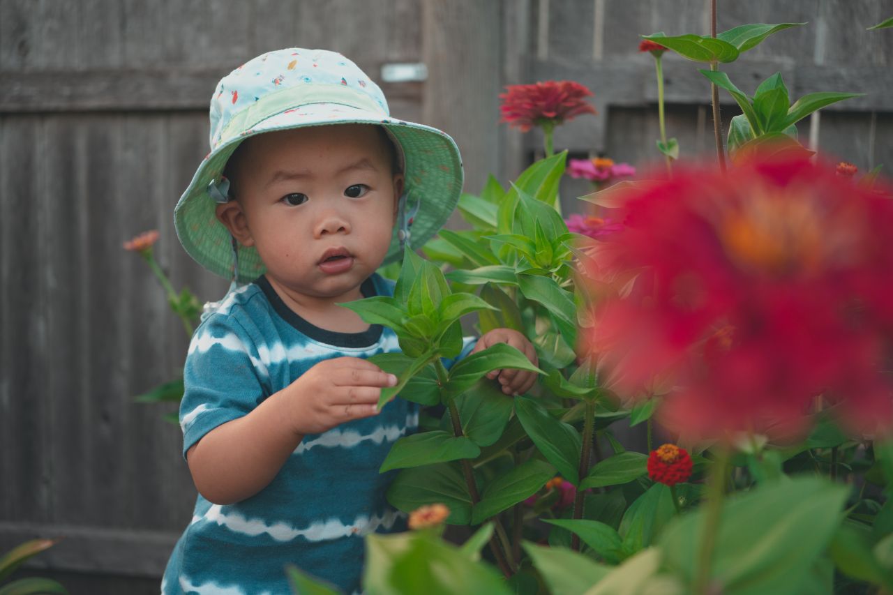 小外甥的田园风 小外甥的田园风