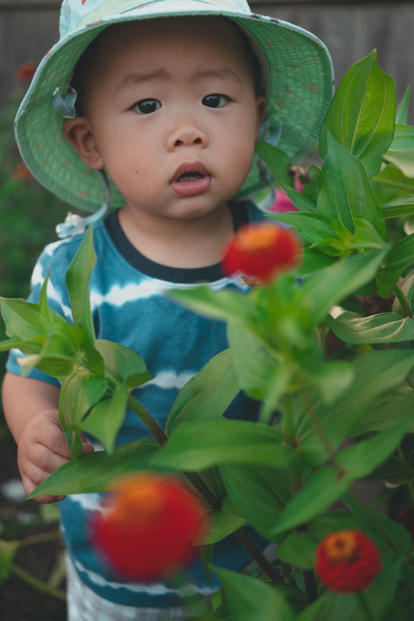 小外甥的田园风 小外甥的田园风