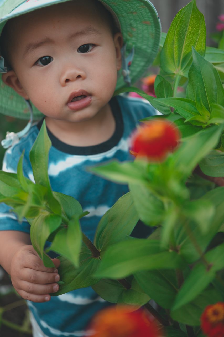小外甥的田园风 小外甥的田园风