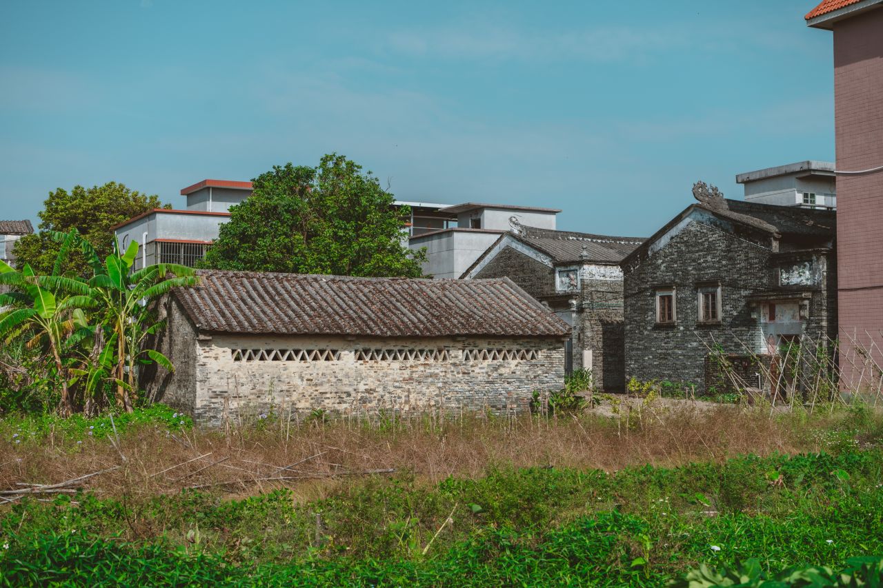 久违的大岭村 久违的大岭村