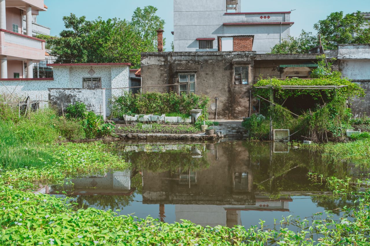久违的大岭村 久违的大岭村