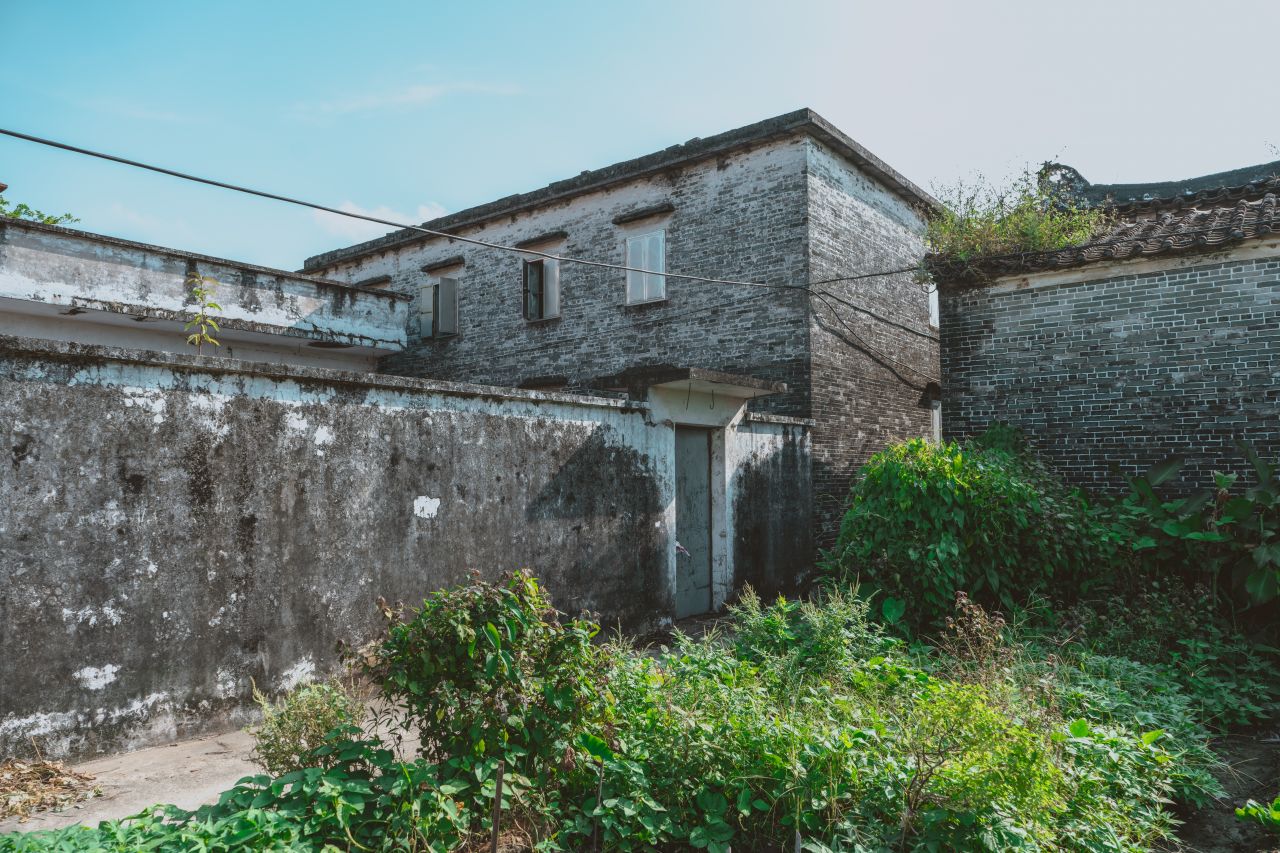 久违的大岭村 久违的大岭村