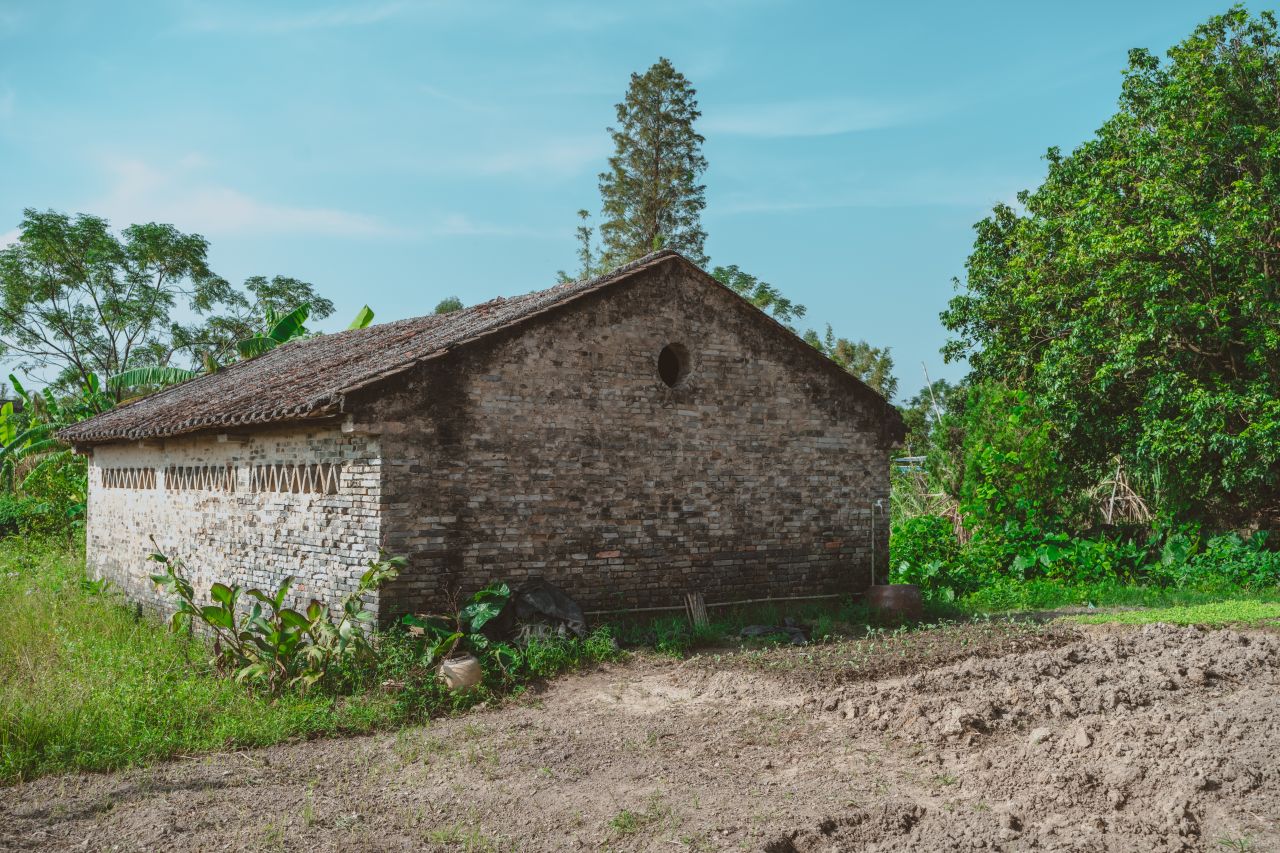 久违的大岭村 久违的大岭村